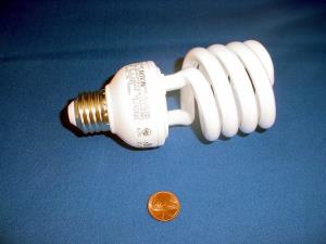 CFL 120V FLOR BULB